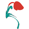 Summer flower in red