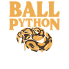 Ball python whisperer