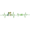 Frog heartbeat