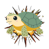 Turtle Schildkröte Tortuga