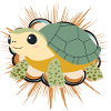 Turtle Turtles Tortuga