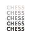 Chess Player Chess