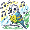 Singing budgie on branch