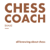 Chess Player Coach Definition Chess