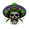 Mexican Skull
