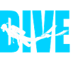Dive