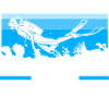 Dive