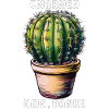 KAKTUS UMARMEN NEIN, DANKE