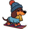 Inverno Cane Bassotto Cappello Sciarpa Sci su Sci
