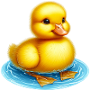 Duckling Duck Duck Duck