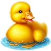 Duckling Duck Duck Duck