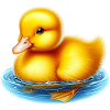 Duckling Duck Duck Duck