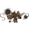 Verwelkte Apfelblume, Schnörkel, vanitas