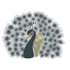 Peacock with wheel