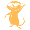 suricate