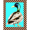 Ente fishtale