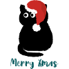 Xmas Cat Christmas Hat
