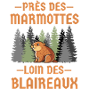 Marmotte forêt dense