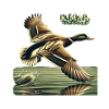 KMAR Mallard 2