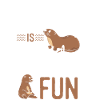 Otter Reading Teacher Literature