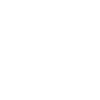 Mechanic Good Mechanic