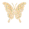 Butterfly Geometric