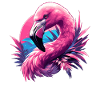 Flamants roses Flamant rose
