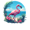 Flamants roses Flamant rose