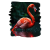 Flamingos Flamingo