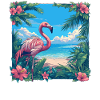 Flamants roses Flamant rose