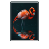Flamingos Flamingo