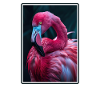 Flamingos Flamingo