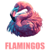 Flamants roses Flamant rose