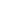 Postman
