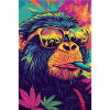 Psychedelic monkey with sunglasses