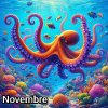 NOV