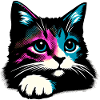 Chat