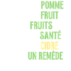 pomme fruits