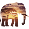 Elefant Afrika Safari