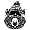BROWN BEAR
