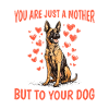 Belgian Malinois Dog Owner
