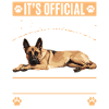 Belgian Malinois Dog Owner