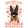 Belgian Malinois Dog Owner