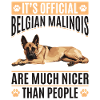 Belgian Malinois Dog Owner