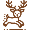 Funny Reindeer Line Drawing