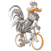 Rooster & Bicycles