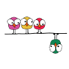 Angry birds