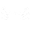 Dart