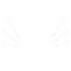 Dart