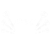 Dart